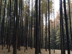-山王坪喀斯特国家生态公园