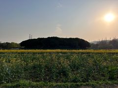 -八卦田遗址公园