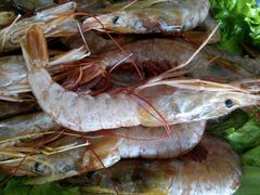 -山东八大碗山东老字号