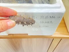 -宫品海参专卖店(静安大宁店)