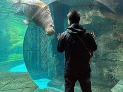 -哈尔滨波塞冬海底世界