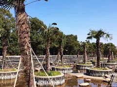 -南通洲际绿博园