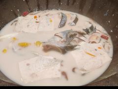 青椒紫苏锅-鲜潭蒸汽石锅鱼(五道口购物中心店)