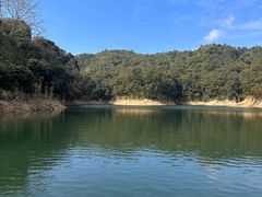 -广州市流溪河国家森林公园