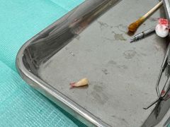 -岳辰齿科(浦东长泰店)