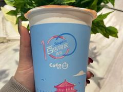 巧克力鼓鼓栗-CoCo都可(颐高区店)