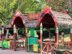 -上海野生动物园