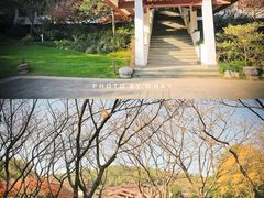 -中国茶叶博物馆(双峰馆区)