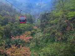 -青城山