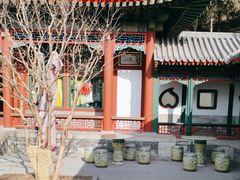 -宫事颐庭·老佛爷贵寿下午茶(颐和园店)