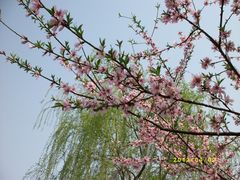 景点-蠡湖大桥公园