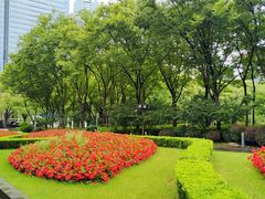 -新虹桥中心花园