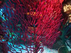 -沈阳海洋探索中心