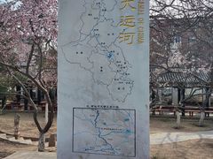 -桃花堤公园