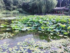 -香山公园-东宫门售票处