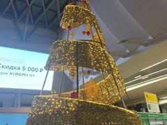 -谢列梅捷沃国际机场