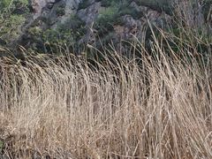 -仙居谷风景区
