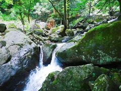 -白云源风景区