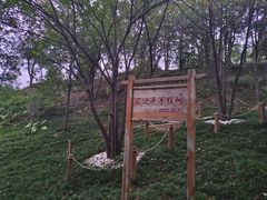 -福道
