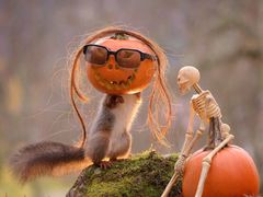 -About Bistro關於·泰式家庭料理