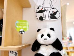 -三联韬奋书店(宽窄巷子店)