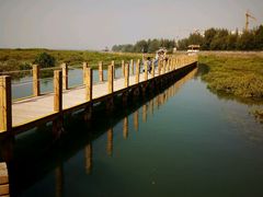 -北海金海湾红树林生态旅游区