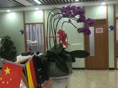 -茂菊口腔连锁(浦东南路店)