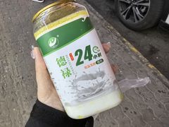 -德禄酸奶(莫家街店)