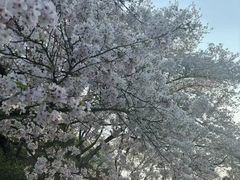 -杭州少年儿童公园
