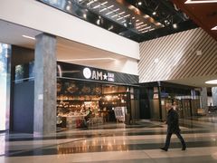 -谢列梅捷沃国际机场