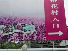 -南汇桃花村