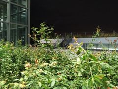 -中央财经大学-食堂