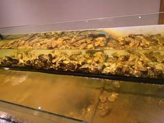 -Isla Sugbu Seafood City