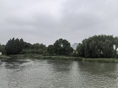 -澹台湖公园