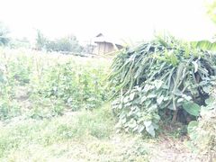 -边寨喊沙