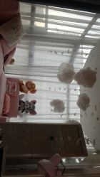 点击看大图 -Beauty Nails 美甲美睫皮肤管理