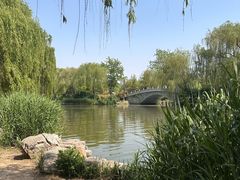 -济南大明湖景区