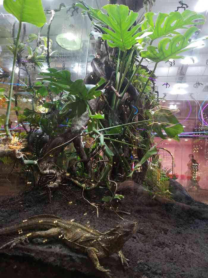 华威潮铺街-"华威大厦算是西单老牌商场了,二十五年前经.