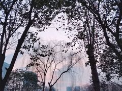 -木塔寺遗址生态公园