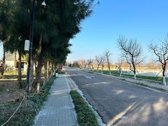 -漩门湾国家湿地公园