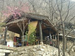 -沣峪森林公园龙潭戏水景区