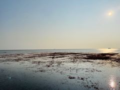 -红海滩国家风景廊道