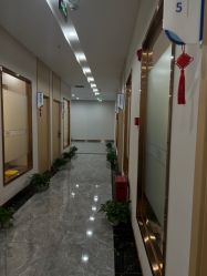 -碧莲盛·不剃发植发