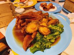 -帝企鹅自助餐厅•儿童岛•真企鹅(长隆企鹅酒店)