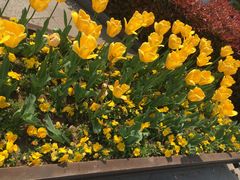 -万达广场(南京江宁店)