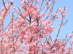 -福建鲤鱼洲酒店