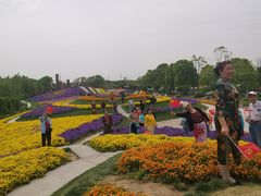 -南通洲际绿博园