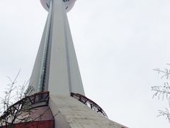 -339旋转餐厅(天府熊猫塔店)