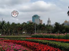-万绿园