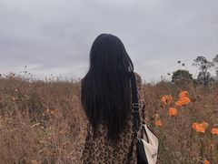 -秀丽东方